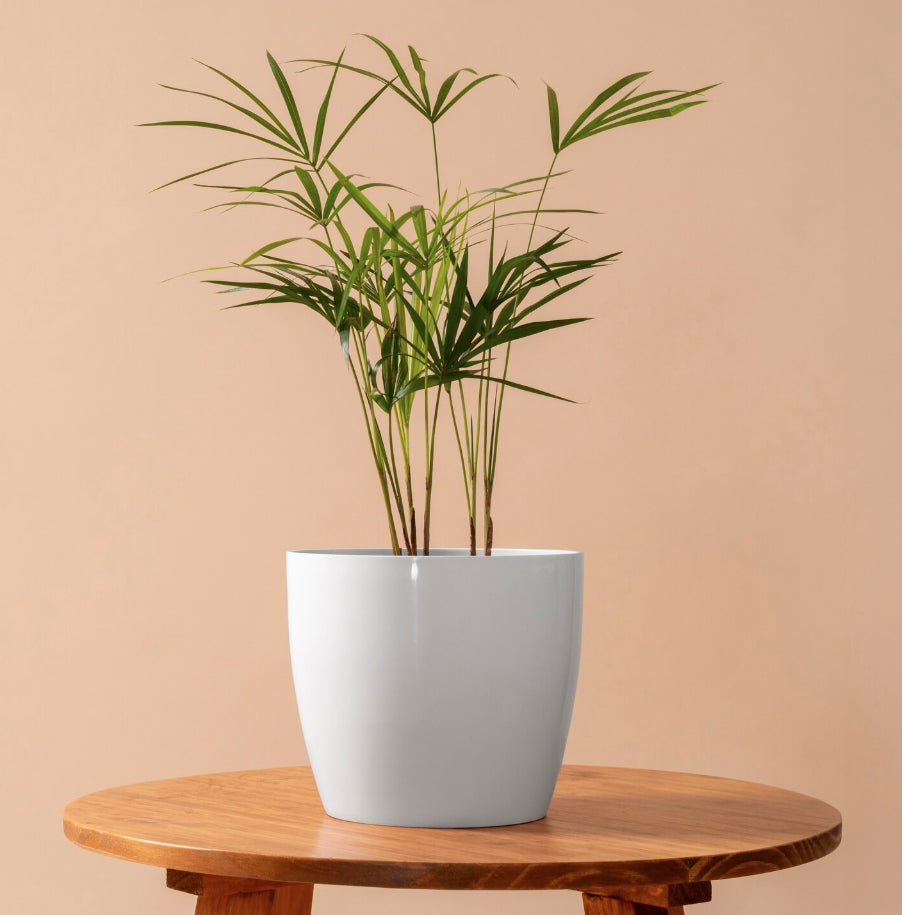 Slow craft for modern living